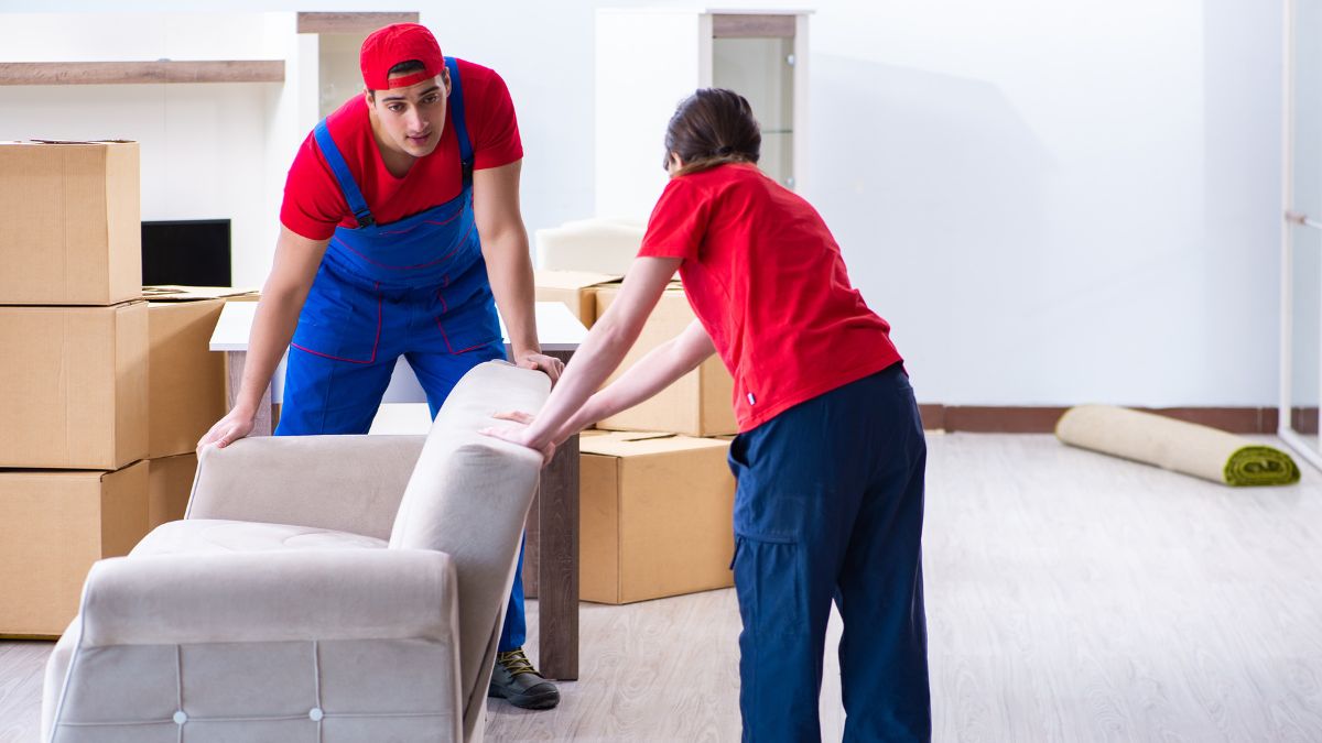 Finding Reliable Movers Near Me in NJ: Tera Moving is Your Answer